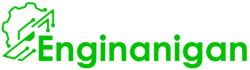 Enginanigan Website Logo